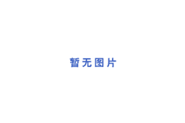 上海彼愛姆金相圖像分析儀SGJX-03